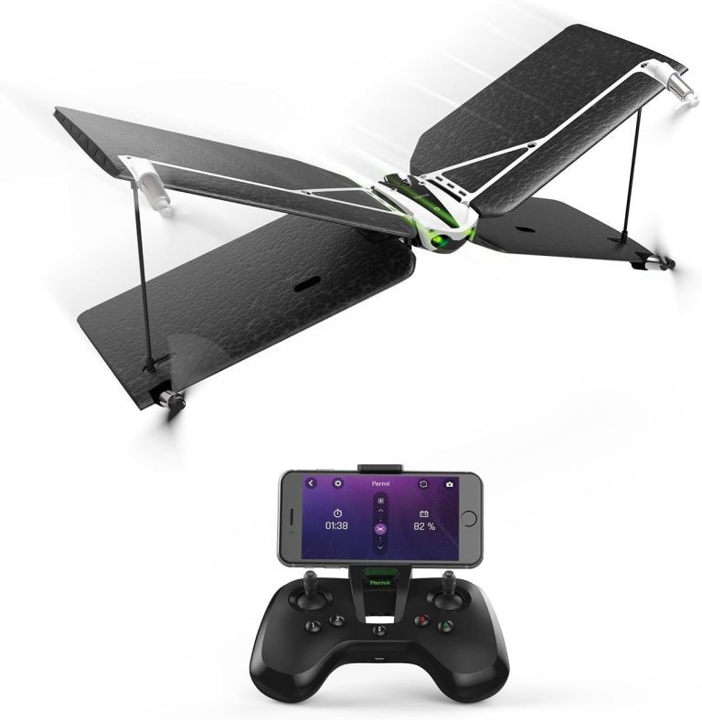 Parrot Swing + Flypad