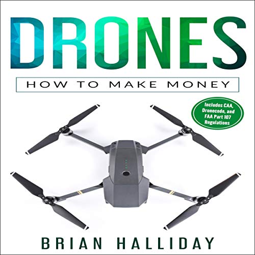 Drones: How to Make Money: Drones Series, Book 5